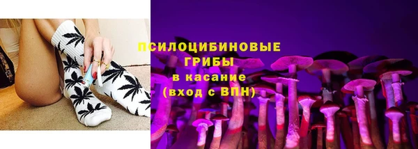 крисы Алзамай