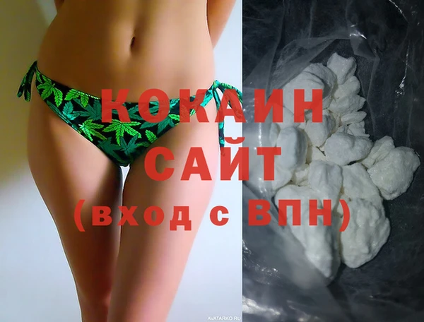 крисы Алзамай