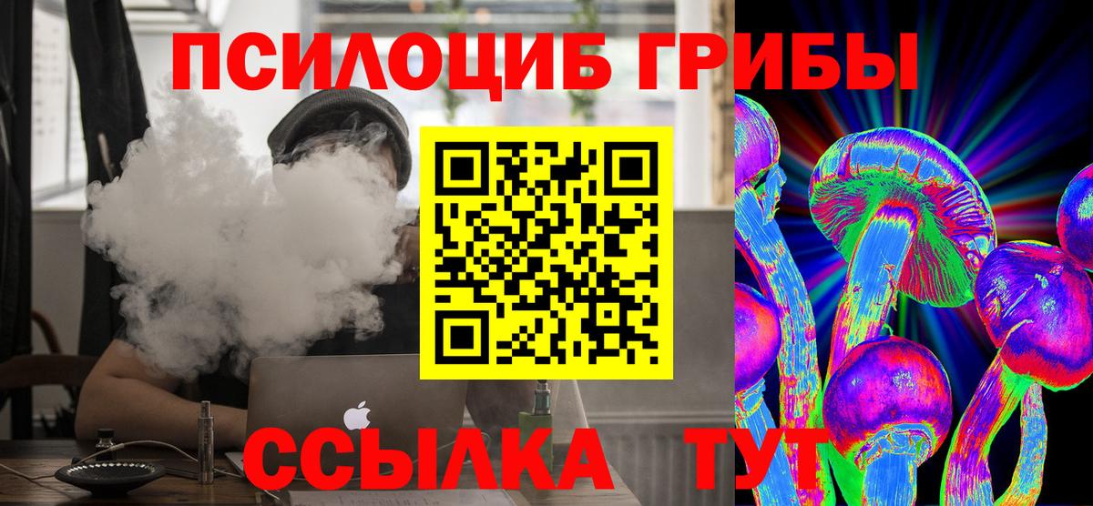 Псилоцибиновые грибы Psilocybine cubensis Архангельск