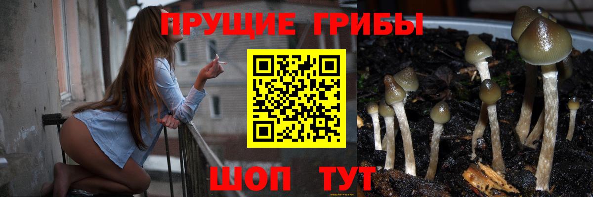 Архангельск  Псилоцибиновые грибы ЛСД  Вход с VPN  Псилоцибиновые грибы Cubensis 